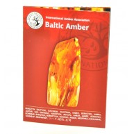 Booklet about Baltic amber in English-AO10