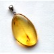 BALTIC AMBER Pendant with Fossil INSECT 5,8 g -