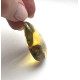 Genuine BALTIC AMBER Pendant with Fossil INSECT 14 g