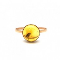 Baltic amber gold ring with insect-AG231